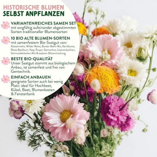 Flower Seeds for Great Garden Growing for all Seasonal