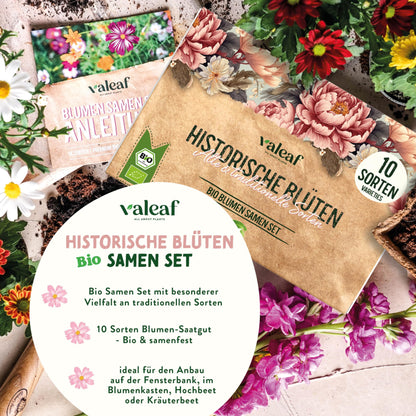 Flower Seeds for Great Garden Growing for all Seasonal